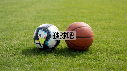 足球与篮球并排放在草地上，象征着谈球吧平台覆盖的多项体育运动